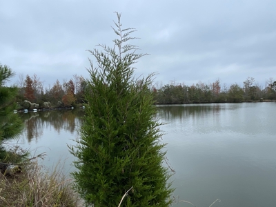 Hunting/Fishing Property for sale in Beaufort County - image 27