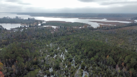 Hunting/Fishing Property for sale in Beaufort County - image 19