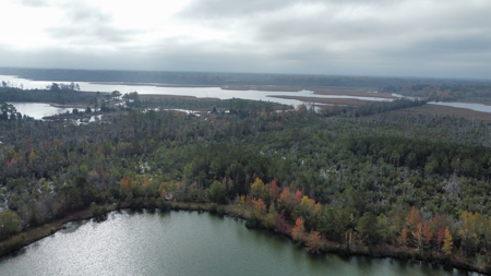 Hunting/Fishing Property for sale in Beaufort County - image 8