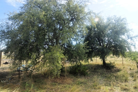 West Texas home and land near San Angelo and Mertzon - image 3