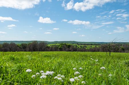 Cattle Recreational Ranch for Sale Oklahoma - image 14