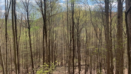Pike County Ohio Land for Sale - image 9