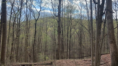 Pike County Ohio Land for Sale - image 13