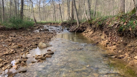 Pike County Ohio Land for Sale - image 3