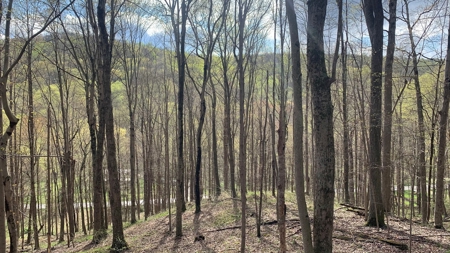 Pike County Ohio Land for Sale - image 7