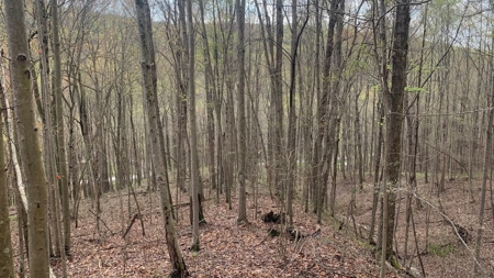 Pike County Ohio Land for Sale - image 22