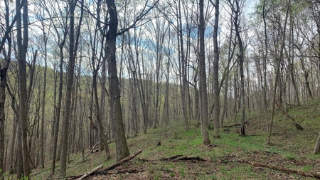 Pike County Ohio Land for Sale - image 11