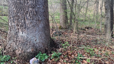 Pike County Ohio Land for Sale - image 4