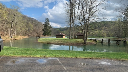 Pike County Ohio Land for Sale - image 16
