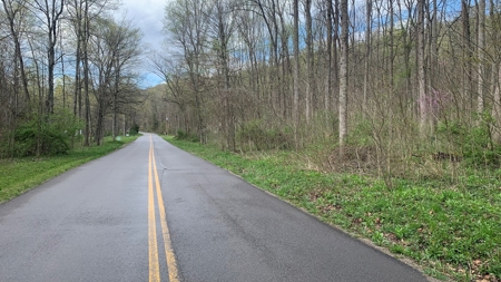 Pike County Ohio Land for Sale - image 15