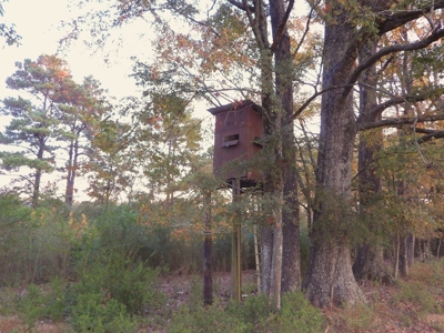 78 Acres Beautiful Pastureland for Sale Amite County, MS - image 5