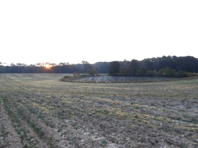 78 Acres Beautiful Pastureland for Sale Amite County, MS - image 20