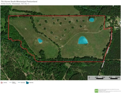 78 Acres Beautiful Pastureland for Sale Amite County, MS - image 25