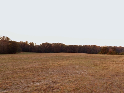 78 Acres Beautiful Pastureland for Sale Amite County, MS - image 10