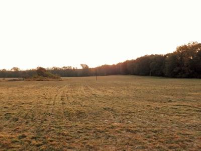 78 Acres Beautiful Pastureland for Sale Amite County, MS - image 3