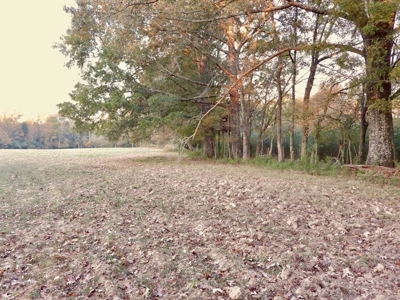 78 Acres Beautiful Pastureland for Sale Amite County, MS - image 15