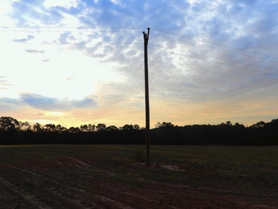 78 Acres Beautiful Pastureland for Sale Amite County, MS - image 2