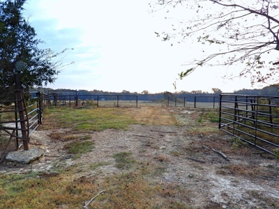 78 Acres Beautiful Pastureland for Sale Amite County, MS - image 4