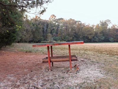 78 Acres Beautiful Pastureland for Sale Amite County, MS - image 6