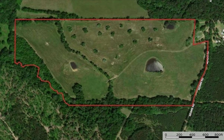 78 Acres Beautiful Pastureland for Sale Amite County, MS - image 24