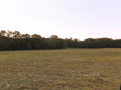 78 Acres Beautiful Pastureland for Sale Amite County, MS - image 8
