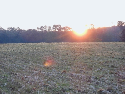 78 Acres Beautiful Pastureland for Sale Amite County, MS - image 19