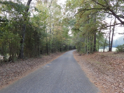 78 Acres Beautiful Pastureland for Sale Amite County, MS - image 22