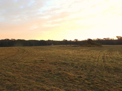 78 Acres Beautiful Pastureland for Sale Amite County, MS - image 1