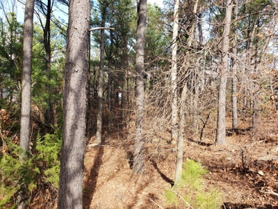 60 Acre Poteau Mountain Recreational Property - image 8