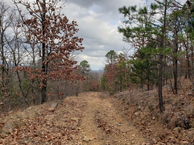 60 Acre Poteau Mountain Recreational Property - image 2