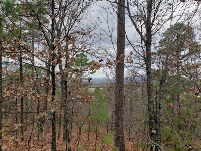 60 Acre Poteau Mountain Recreational Property - image 3