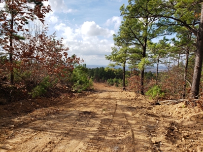 60 Acre Poteau Mountain Recreational Property - image 6