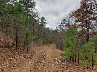 60 Acre Poteau Mountain Recreational Property - image 4