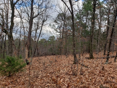 60 Acre Poteau Mountain Recreational Property - image 1