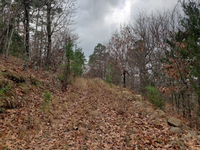 60 Acre Poteau Mountain Recreational Property - image 5
