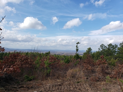 60 Acre Poteau Mountain Recreational Property - image 7