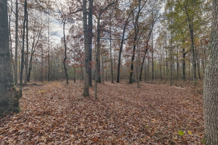 Land for Sale in Lawrence County, Tennessee - image 42