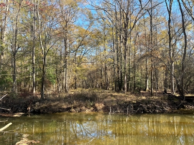 Young Planted Pine Land W/ Utilities Hwy Poyen, AR for Sale - image 2