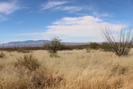 Flat-Buildable Lot in Dragoon Mountain Ranch - image 10