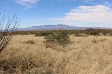 Flat-Buildable Lot in Dragoon Mountain Ranch - image 3