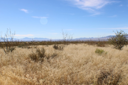 Flat-Buildable Lot in Dragoon Mountain Ranch - image 16