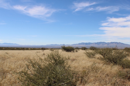 Flat-Buildable Lot in Dragoon Mountain Ranch - image 23