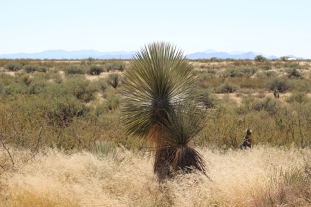 Flat-Buildable Lot in Dragoon Mountain Ranch - image 14