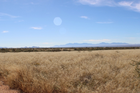 Flat-Buildable Lot in Dragoon Mountain Ranch - image 21