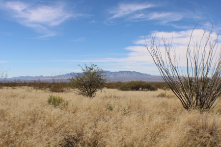 Flat-Buildable Lot in Dragoon Mountain Ranch - image 18