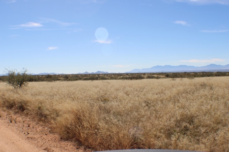 Flat-Buildable Lot in Dragoon Mountain Ranch - image 22