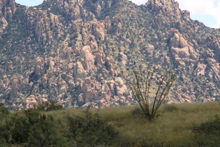 Flat-Buildable Lot in Dragoon Mountain Ranch - image 26