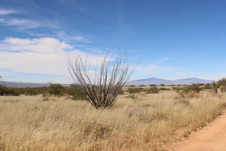 Flat-Buildable Lot in Dragoon Mountain Ranch - image 11
