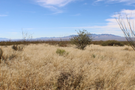 Flat-Buildable Lot in Dragoon Mountain Ranch - image 15