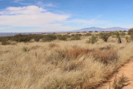 Flat-Buildable Lot in Dragoon Mountain Ranch - image 4